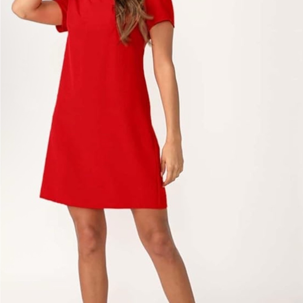 Adrienne Vittadini Pink Sheath Mini Dress